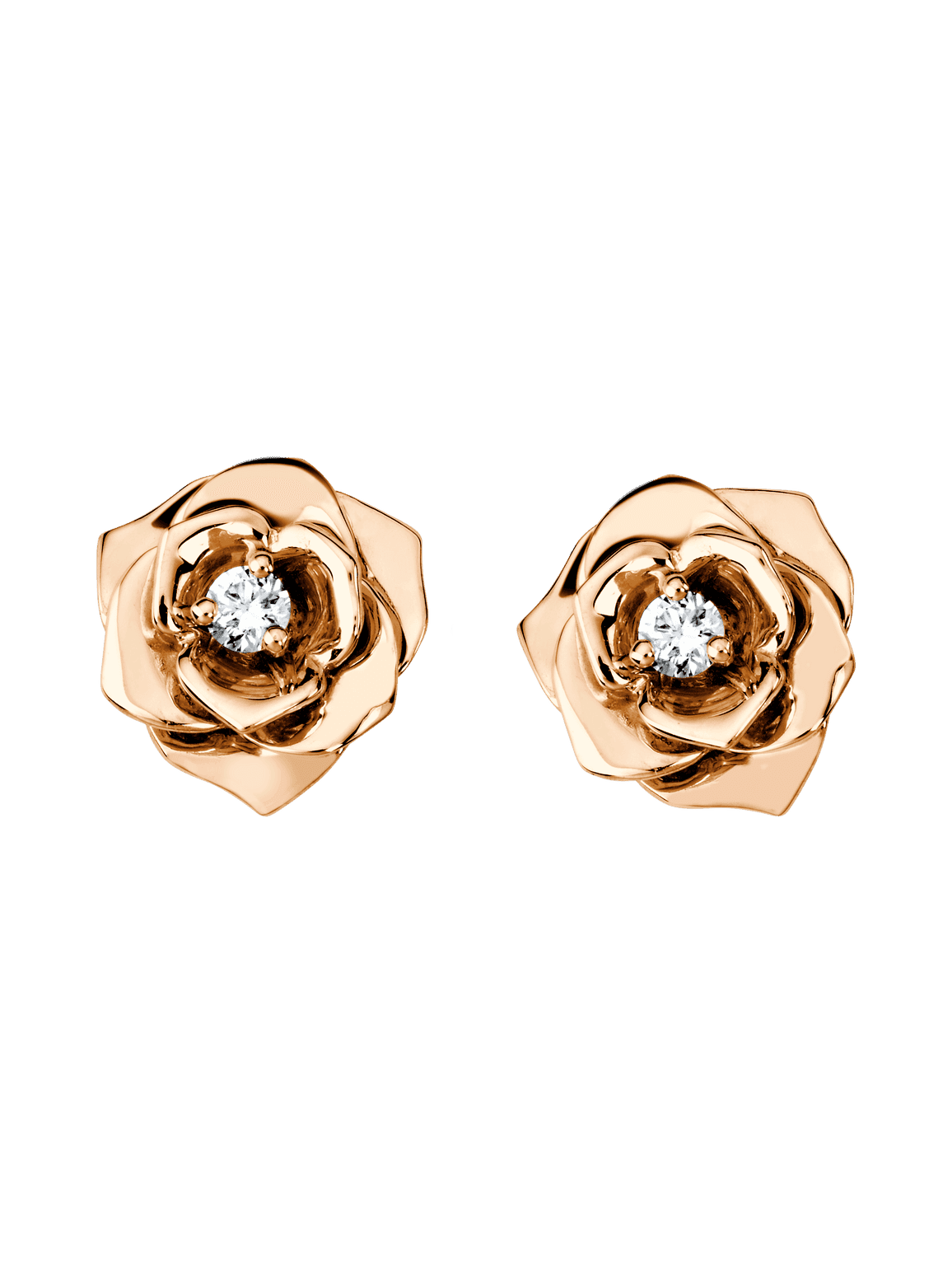 Rose earrings — G38U0043