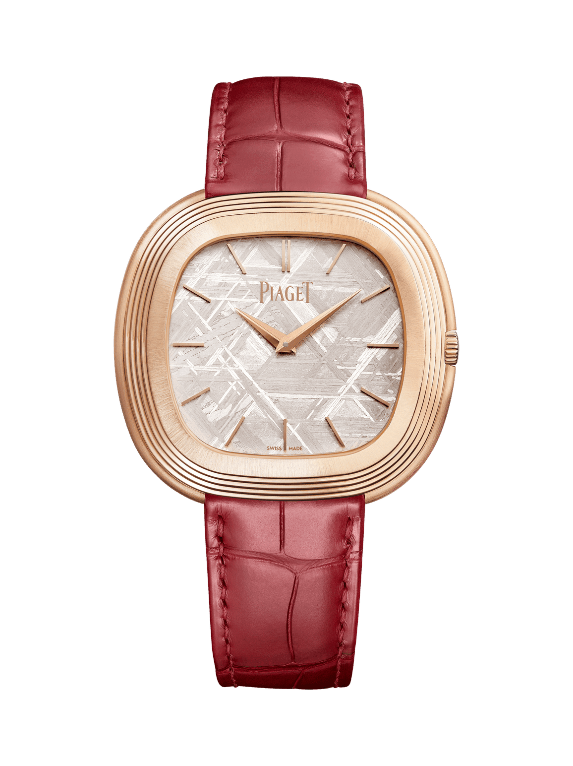Andy Warhol watch — G0A50242