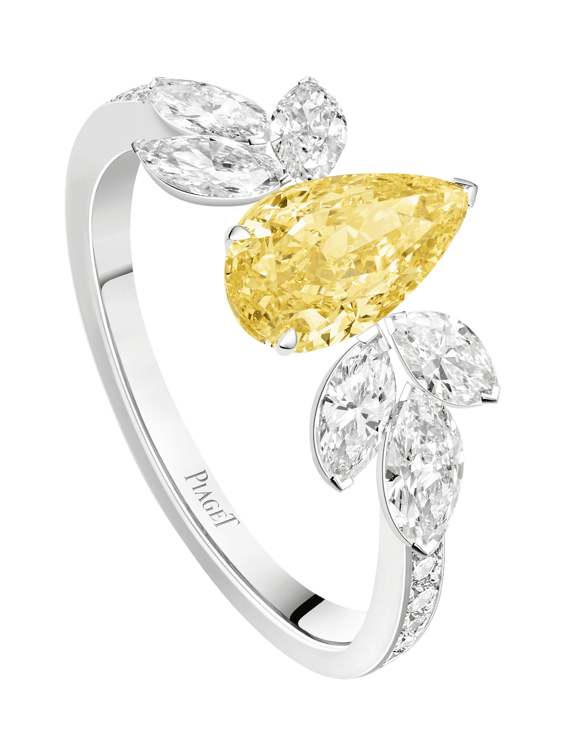 Treasures ring — G34M6400