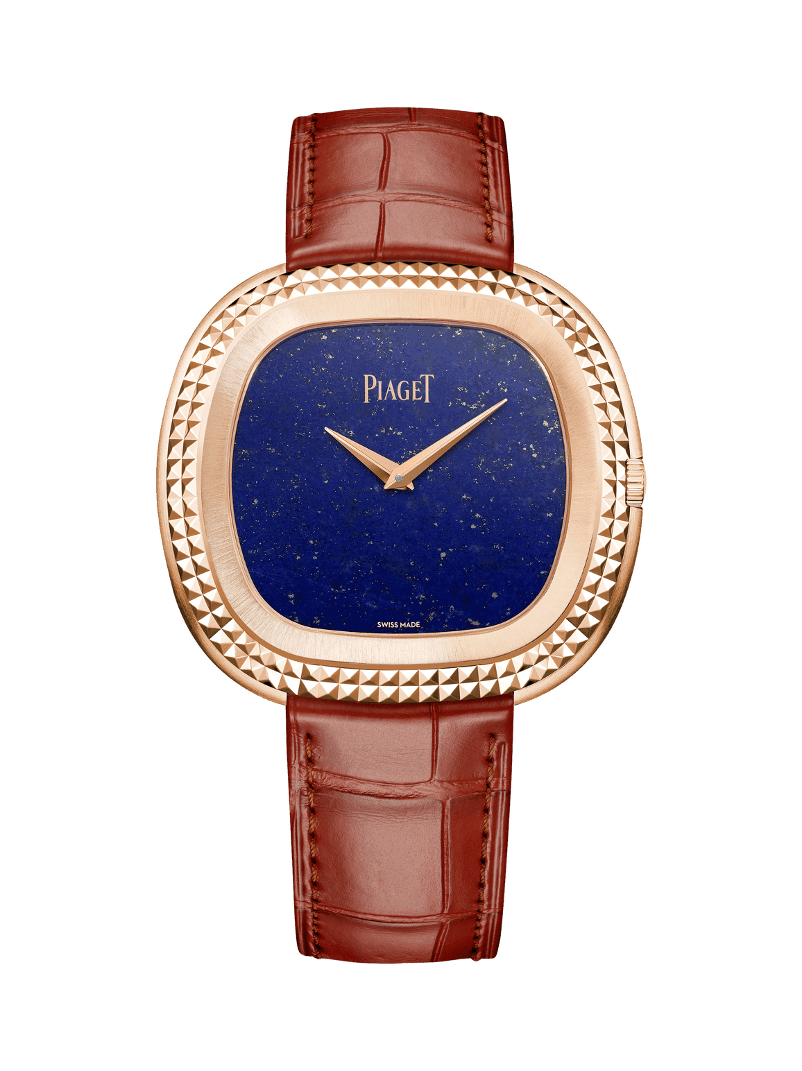 Andy Warhol watch — G0A51244