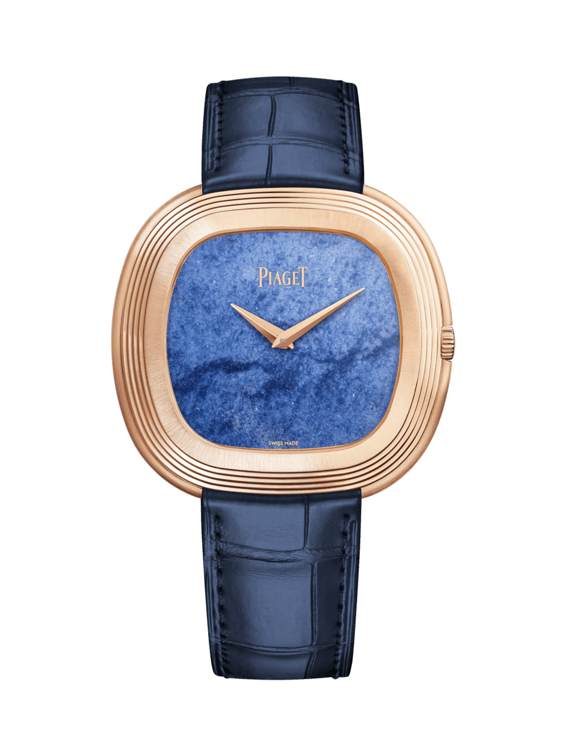 Andy Warhol watch — G0A51246