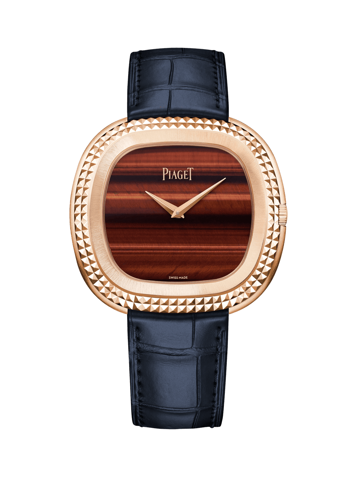 Andy Warhol watch — G0A51245