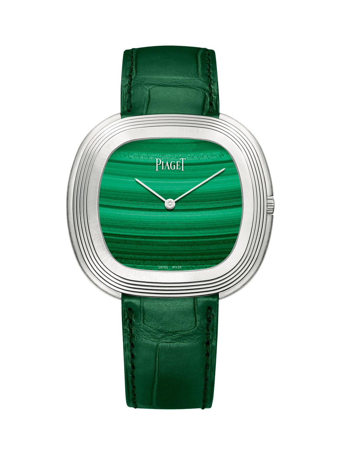 Andy Warhol watch — G0A43238