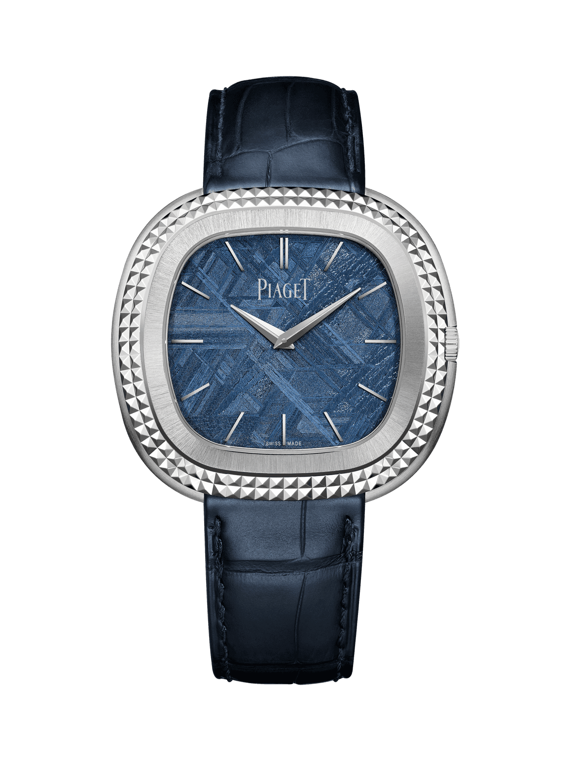 Andy Warhol watch — G0A49238