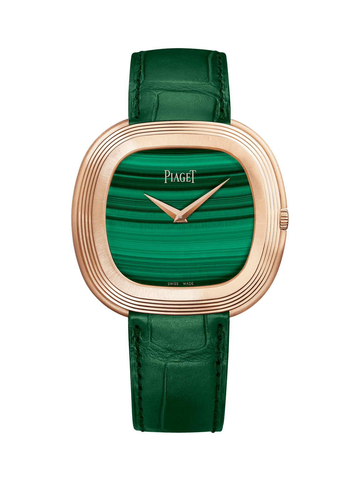 Andy Warhol watch — G0A48239