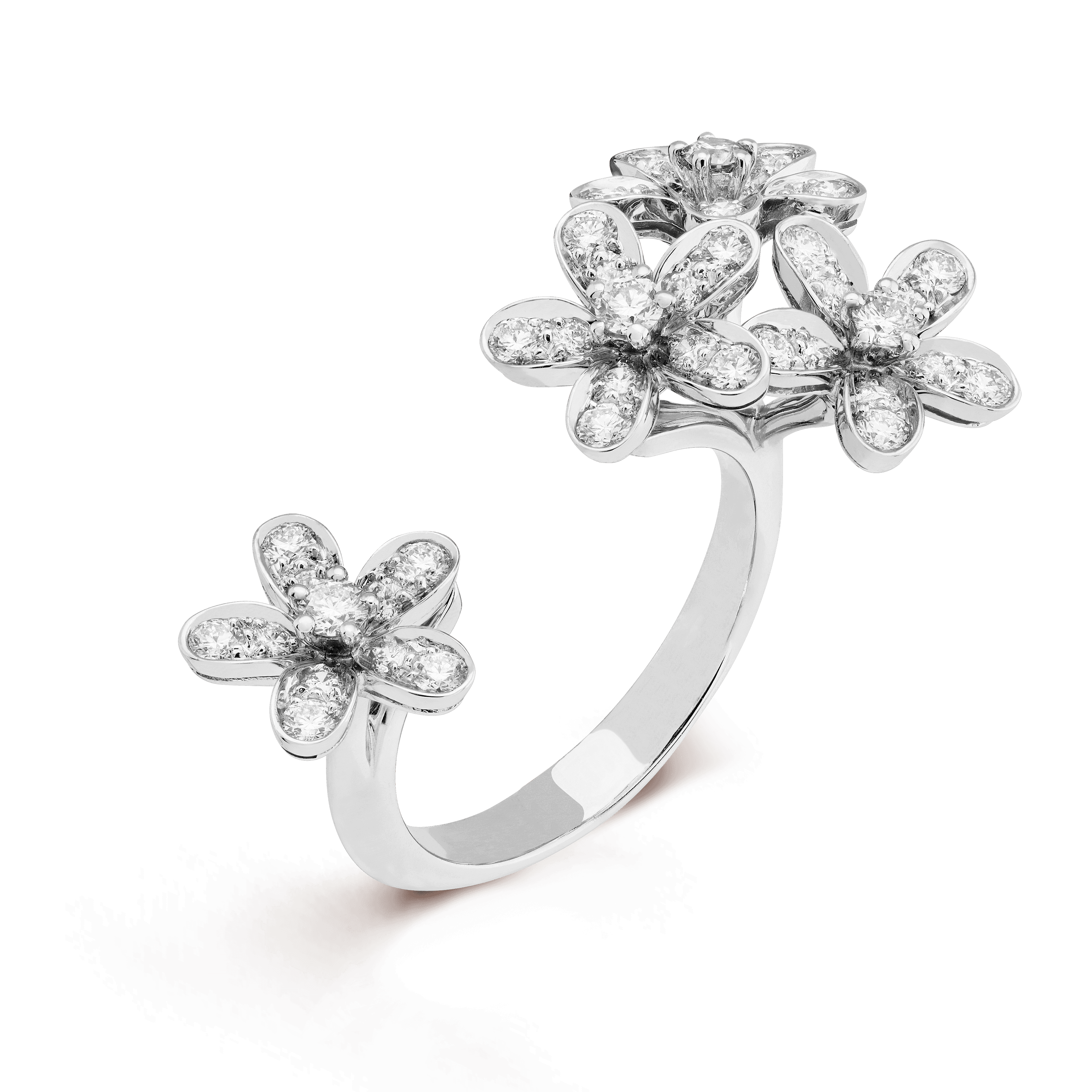 Socrate Between the Finger ring — VCARB14500