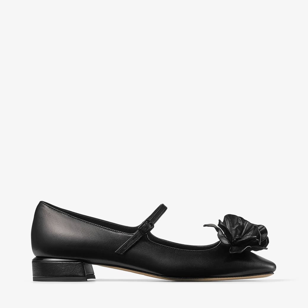 Rosa/flowers Flat — ROSAFLOWERSFLATBGW010003