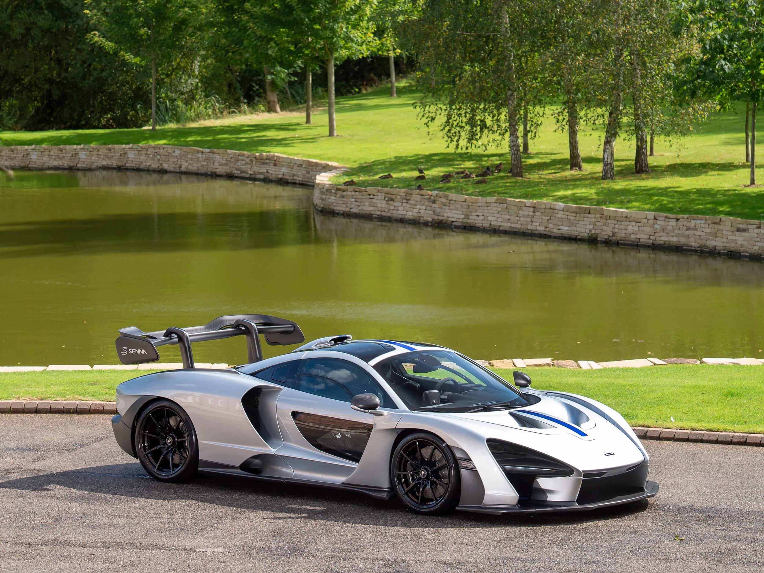 2019 Senna — Supernova Silver