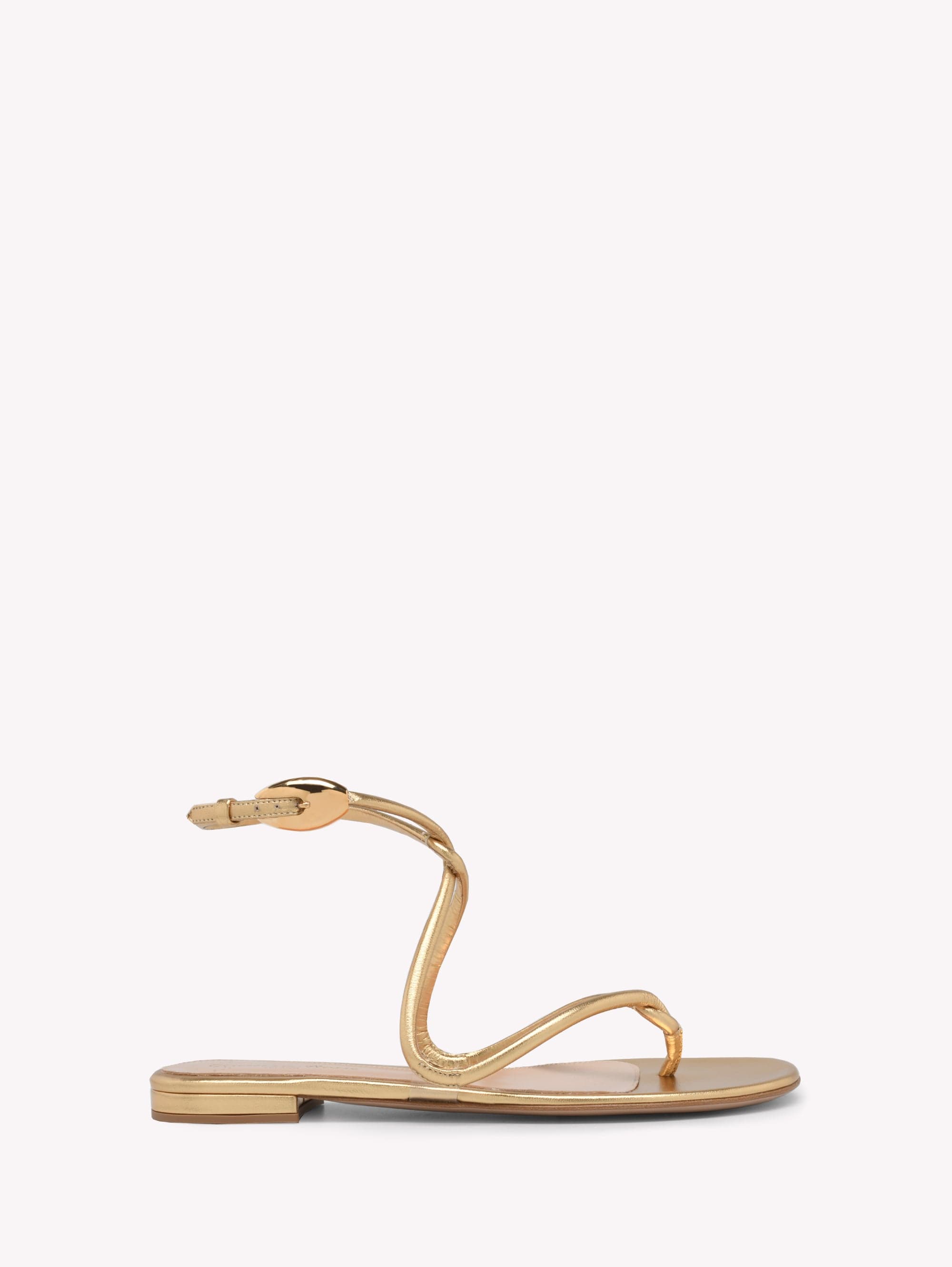 Jungle Mamba Flat — G32557.05RIC.NIGMETR