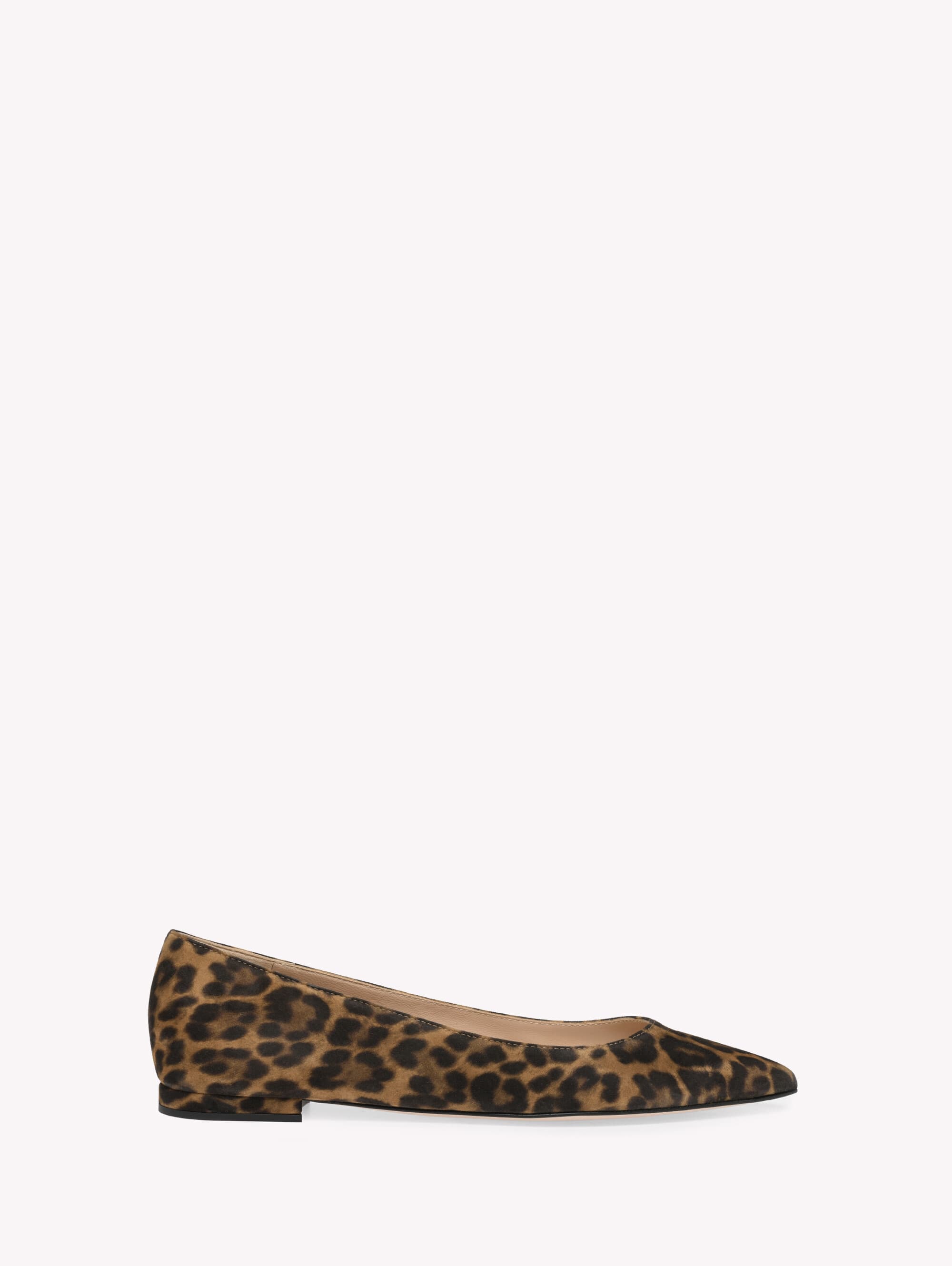 Gianvito Flat — G20879.05RIC.CMDALLP