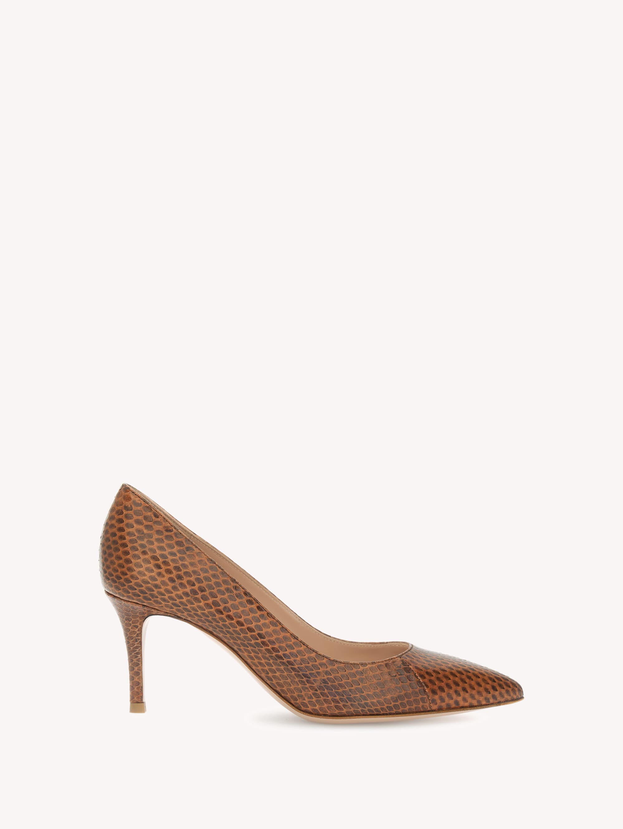 Gianvito 70 — G22362.70RIC.AYXCAYO
