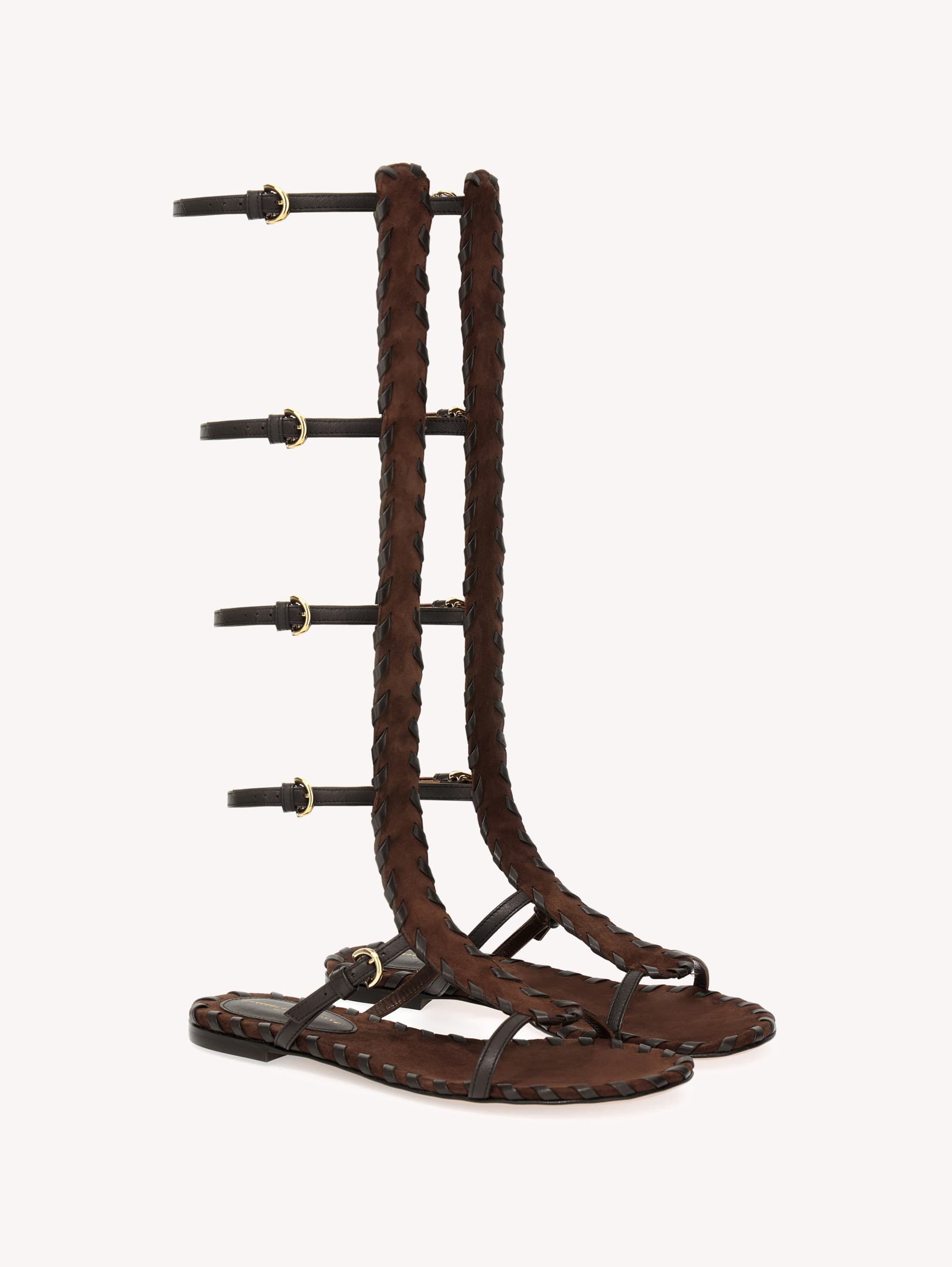 Zaira Gladiator — G32733.05CUO.XNCMOBO