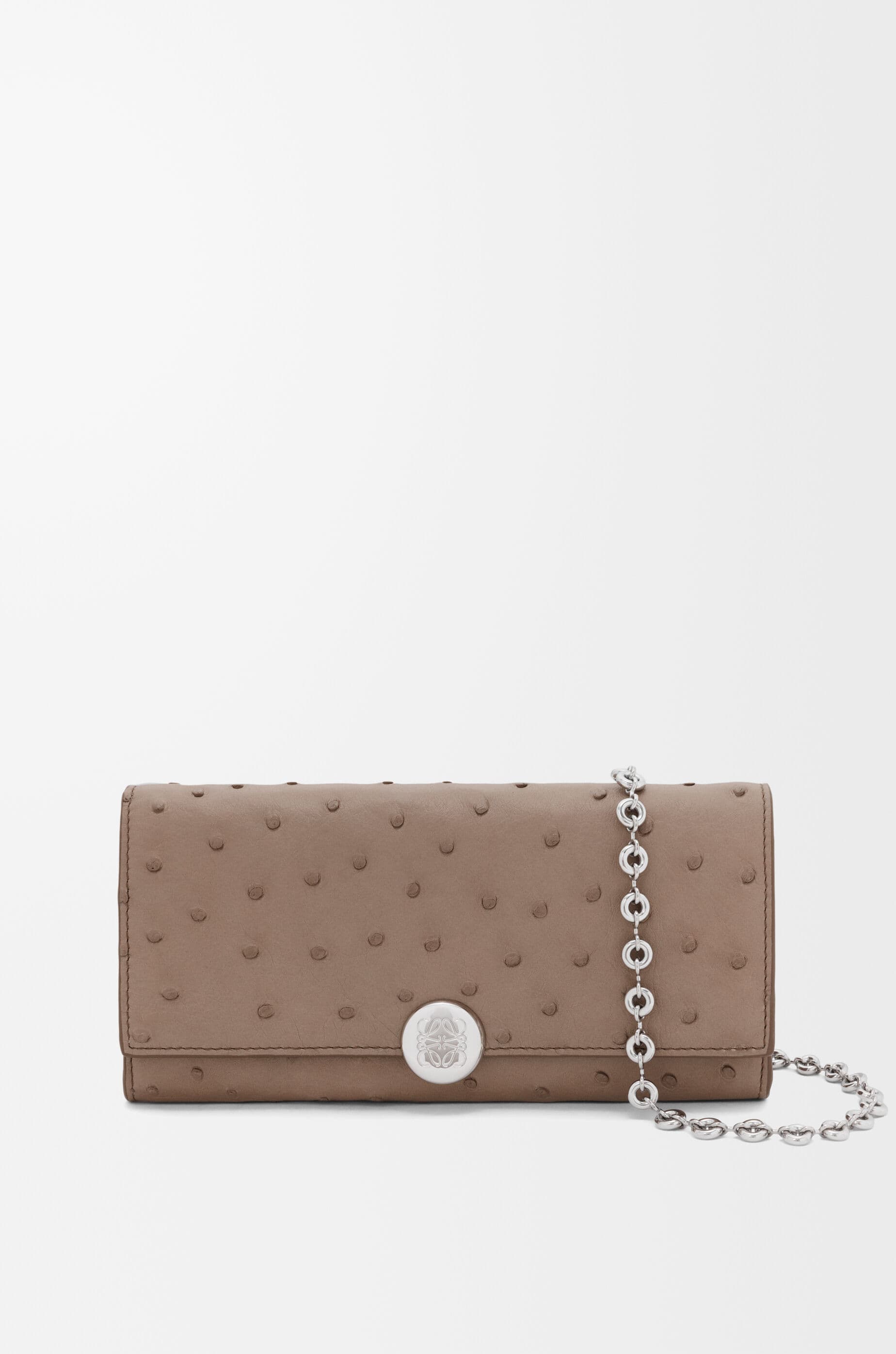 Pebble wallet on chain in ostrich — CANBACWX05-3590