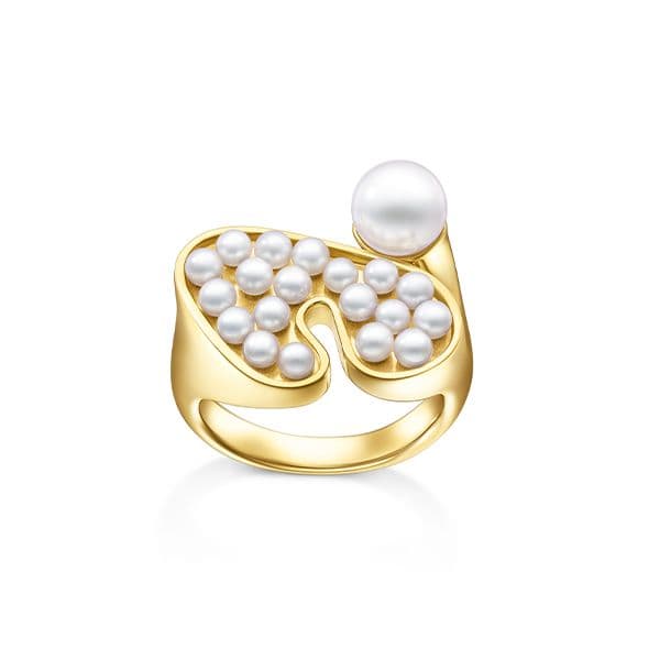 FLUID Ring — R-4893-18KYG